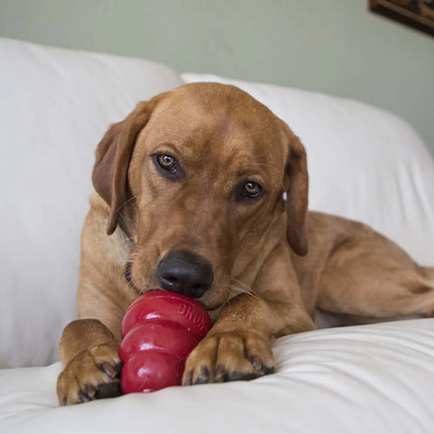 Easy Treat Pepperoni