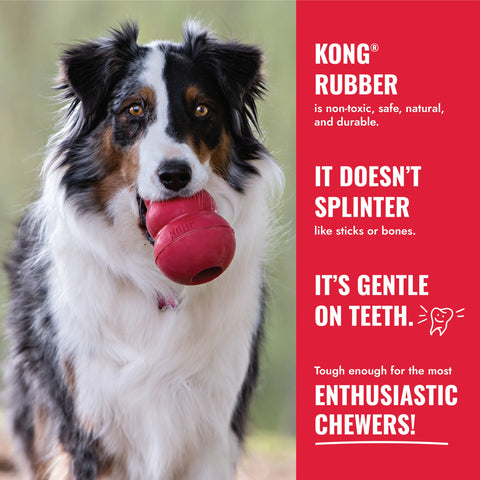 KONG Flyer