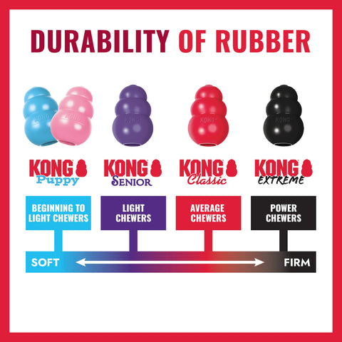 KONG Flyer
