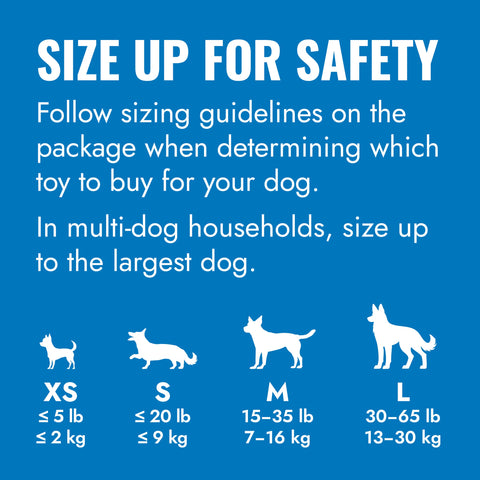 KONG Puppy Blue