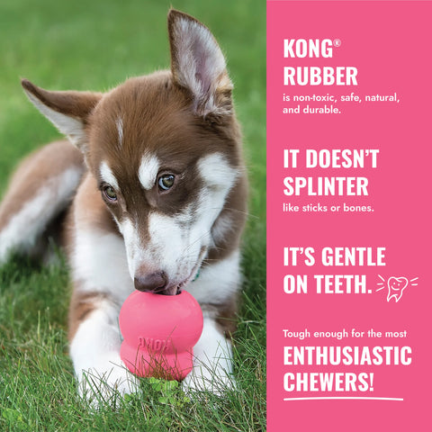 KONG Puppy Goodie Bone Pink