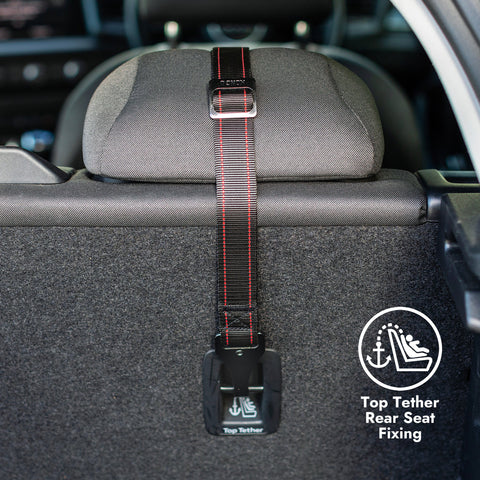 KONG Utility Safety Tether and Booster Seat