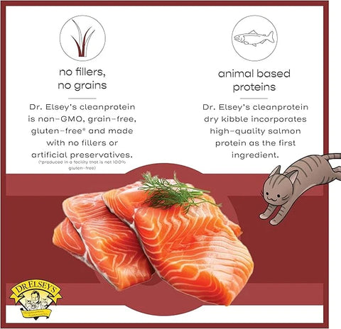 Dr. Elsey's cleanprotein Original Salmon Recipe Wet Cat Food 5.3 oz (Pack of 24)
